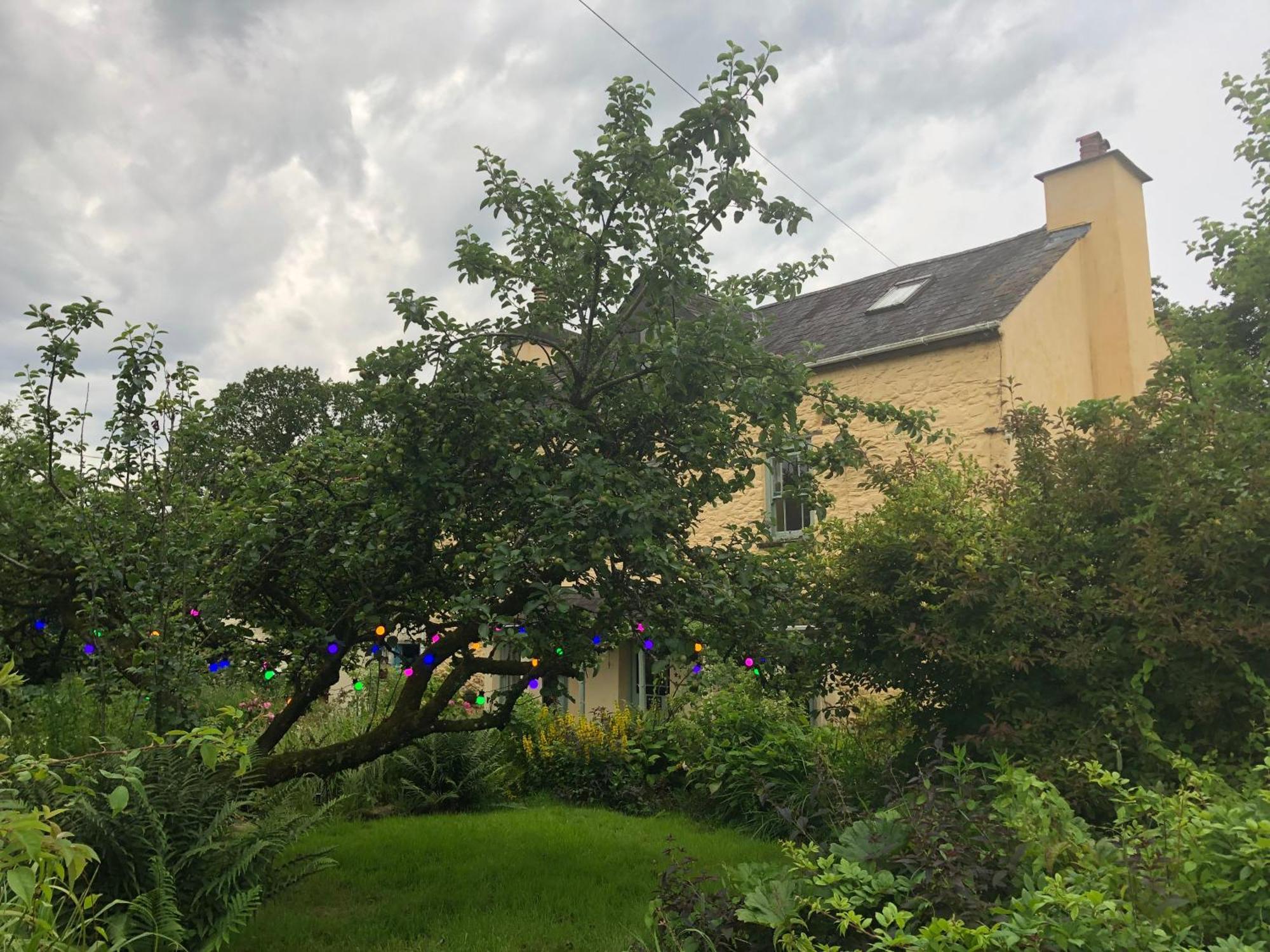 Ynyswen Bed & Breakfast Nantgaredig Exterior photo